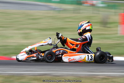 15 & 16/07/2017 : Championnat de France Rotax et Junior, Coupe de France Nationale à Muret (Photos Stéphane Agnus) 2017 — karting