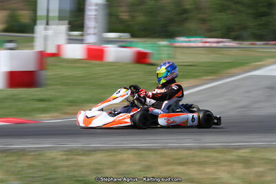 15 & 16/07/2017 : Championnat de France Rotax et Junior, Coupe de France Nationale à Muret (Photos Stéphane Agnus) 2017 — karting