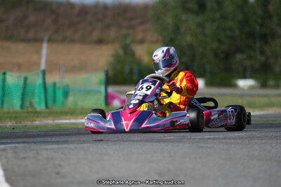 15 & 16/07/2017 : Championnat de France Rotax et Junior, Coupe de France Nationale à Muret (Photos Stéphane Agnus) 2017 — karting