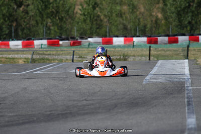 15 & 16/07/2017 : Championnat de France Rotax et Junior, Coupe de France Nationale à Muret (Photos Stéphane Agnus) 2017 — karting