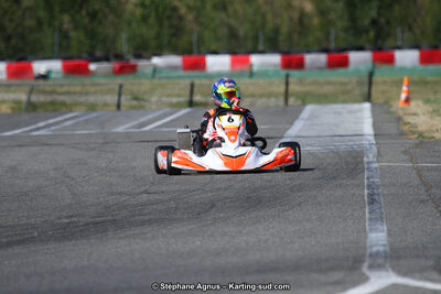 15 & 16/07/2017 : Championnat de France Rotax et Junior, Coupe de France Nationale à Muret (Photos Stéphane Agnus) 2017 — karting
