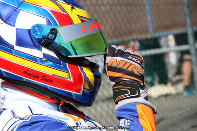 15 & 16/07/2017 : Championnat de France Rotax et Junior, Coupe de France Nationale à Muret (Photos Stéphane Agnus) 2017 — karting