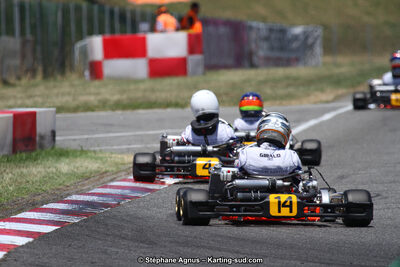 15 & 16/07/2017 : Championnat de France Rotax et Junior, Coupe de France Nationale à Muret (Photos Stéphane Agnus) 2017 — karting