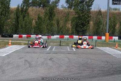 15 & 16/07/2017 : Championnat de France Rotax et Junior, Coupe de France Nationale à Muret (Photos Stéphane Agnus) 2017 — karting