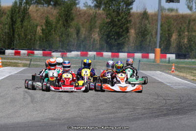 15 & 16/07/2017 : Championnat de France Rotax et Junior, Coupe de France Nationale à Muret (Photos Stéphane Agnus) 2017 — karting
