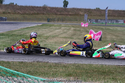 15 & 16/07/2017 : Championnat de France Rotax et Junior, Coupe de France Nationale à Muret (Photos Stéphane Agnus) 2017 — karting