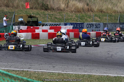 15 & 16/07/2017 : Championnat de France Rotax et Junior, Coupe de France Nationale à Muret (Photos Stéphane Agnus) 2017 — karting