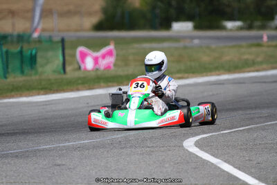 15 & 16/07/2017 : Championnat de France Rotax et Junior, Coupe de France Nationale à Muret (Photos Stéphane Agnus) 2017 — karting