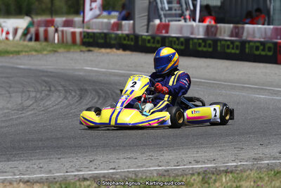 15 & 16/07/2017 : Championnat de France Rotax et Junior, Coupe de France Nationale à Muret (Photos Stéphane Agnus) 2017 — karting