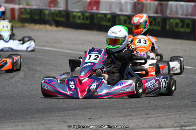 15 & 16/07/2017 : Championnat de France Rotax et Junior, Coupe de France Nationale à Muret (Photos Stéphane Agnus) 2017 — karting