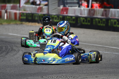 15 & 16/07/2017 : Championnat de France Rotax et Junior, Coupe de France Nationale à Muret (Photos Stéphane Agnus) 2017 — karting