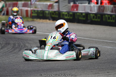 15 & 16/07/2017 : Championnat de France Rotax et Junior, Coupe de France Nationale à Muret (Photos Stéphane Agnus) 2017 — karting