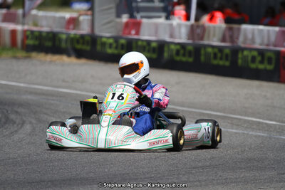 15 & 16/07/2017 : Championnat de France Rotax et Junior, Coupe de France Nationale à Muret (Photos Stéphane Agnus) 2017 — karting