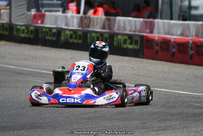 15 & 16/07/2017 : Championnat de France Rotax et Junior, Coupe de France Nationale à Muret (Photos Stéphane Agnus) 2017 — karting