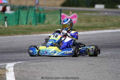 15 & 16/07/2017 : Championnat de France Rotax et Junior, Coupe de France Nationale à Muret (Photos Stéphane Agnus) 2017 — karting