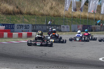 15 & 16/07/2017 : Championnat de France Rotax et Junior, Coupe de France Nationale à Muret (Photos Stéphane Agnus) 2017 — karting