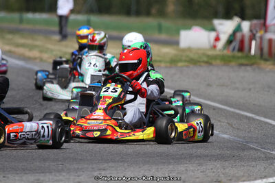 15 & 16/07/2017 : Championnat de France Rotax et Junior, Coupe de France Nationale à Muret (Photos Stéphane Agnus) 2017 — karting
