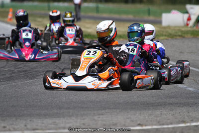 15 & 16/07/2017 : Championnat de France Rotax et Junior, Coupe de France Nationale à Muret (Photos Stéphane Agnus) 2017 — karting