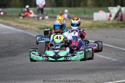 15 & 16/07/2017 : Championnat de France Rotax et Junior, Coupe de France Nationale à Muret (Photos Stéphane Agnus) 2017 — karting