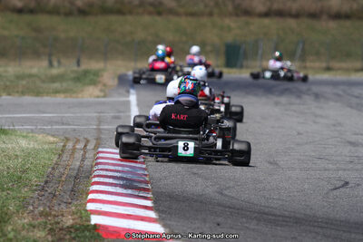 15 & 16/07/2017 : Championnat de France Rotax et Junior, Coupe de France Nationale à Muret (Photos Stéphane Agnus) 2017 — karting