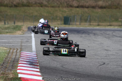 15 & 16/07/2017 : Championnat de France Rotax et Junior, Coupe de France Nationale à Muret (Photos Stéphane Agnus) 2017 — karting