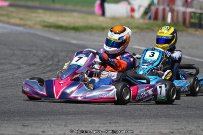 15 & 16/07/2017 : Championnat de France Rotax et Junior, Coupe de France Nationale à Muret (Photos Stéphane Agnus) 2017 — karting
