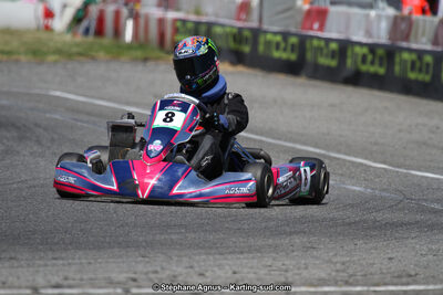 15 & 16/07/2017 : Championnat de France Rotax et Junior, Coupe de France Nationale à Muret (Photos Stéphane Agnus) 2017 — karting