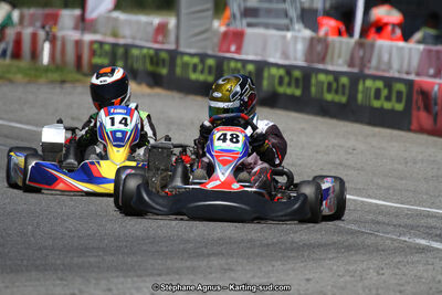 15 & 16/07/2017 : Championnat de France Rotax et Junior, Coupe de France Nationale à Muret (Photos Stéphane Agnus) 2017 — karting
