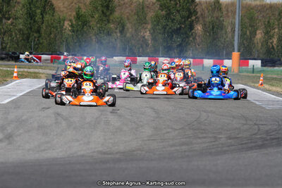 15 & 16/07/2017 : Championnat de France Rotax et Junior, Coupe de France Nationale à Muret (Photos Stéphane Agnus) 2017 — karting