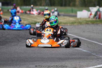 15 & 16/07/2017 : Championnat de France Rotax et Junior, Coupe de France Nationale à Muret (Photos Stéphane Agnus) 2017 — karting