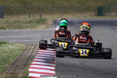 15 & 16/07/2017 : Championnat de France Rotax et Junior, Coupe de France Nationale à Muret (Photos Stéphane Agnus) 2017 — karting