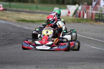 15 & 16/07/2017 : Championnat de France Rotax et Junior, Coupe de France Nationale à Muret (Photos Stéphane Agnus) 2017 — karting