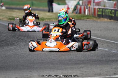15 & 16/07/2017 : Championnat de France Rotax et Junior, Coupe de France Nationale à Muret (Photos Stéphane Agnus) 2017 — karting