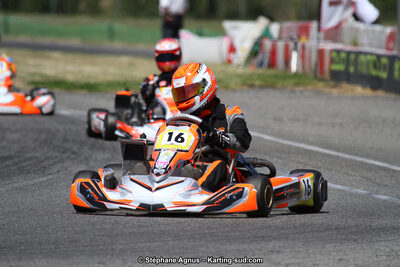 15 & 16/07/2017 : Championnat de France Rotax et Junior, Coupe de France Nationale à Muret (Photos Stéphane Agnus) 2017 — karting