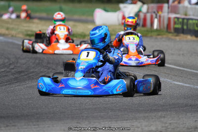 15 & 16/07/2017 : Championnat de France Rotax et Junior, Coupe de France Nationale à Muret (Photos Stéphane Agnus) 2017 — karting