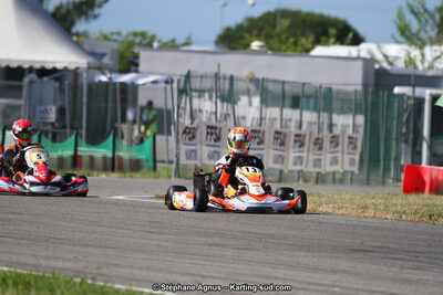15 & 16/07/2017 : Championnat de France Rotax et Junior, Coupe de France Nationale à Muret (Photos Stéphane Agnus) 2017 — karting