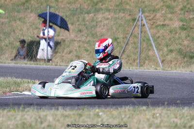15 & 16/07/2017 : Championnat de France Rotax et Junior, Coupe de France Nationale à Muret (Photos Stéphane Agnus) 2017 — karting