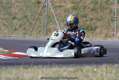 15 & 16/07/2017 : Championnat de France Rotax et Junior, Coupe de France Nationale à Muret (Photos Stéphane Agnus) 2017 — karting