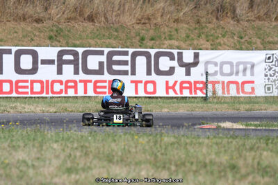 15 & 16/07/2017 : Championnat de France Rotax et Junior, Coupe de France Nationale à Muret (Photos Stéphane Agnus) 2017 — karting