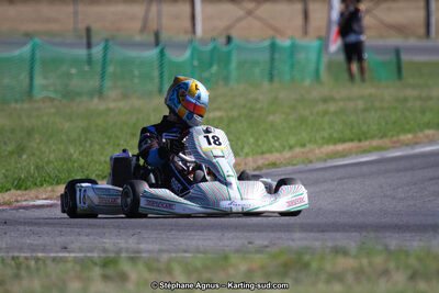 15 & 16/07/2017 : Championnat de France Rotax et Junior, Coupe de France Nationale à Muret (Photos Stéphane Agnus) 2017 — karting