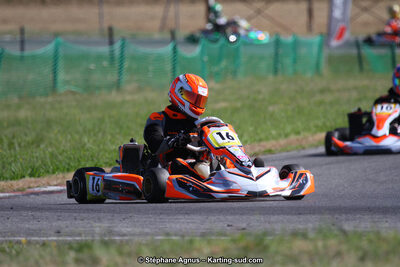 15 & 16/07/2017 : Championnat de France Rotax et Junior, Coupe de France Nationale à Muret (Photos Stéphane Agnus) 2017 — karting