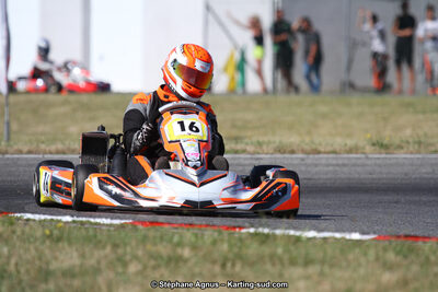 15 & 16/07/2017 : Championnat de France Rotax et Junior, Coupe de France Nationale à Muret (Photos Stéphane Agnus) 2017 — karting