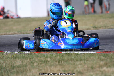 15 & 16/07/2017 : Championnat de France Rotax et Junior, Coupe de France Nationale à Muret (Photos Stéphane Agnus) 2017 — karting