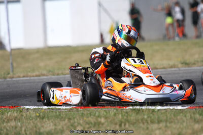 15 & 16/07/2017 : Championnat de France Rotax et Junior, Coupe de France Nationale à Muret (Photos Stéphane Agnus) 2017 — karting