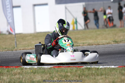 15 & 16/07/2017 : Championnat de France Rotax et Junior, Coupe de France Nationale à Muret (Photos Stéphane Agnus) 2017 — karting