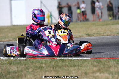 15 & 16/07/2017 : Championnat de France Rotax et Junior, Coupe de France Nationale à Muret (Photos Stéphane Agnus) 2017 — karting