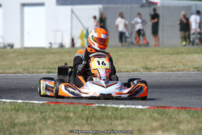 15 & 16/07/2017 : Championnat de France Rotax et Junior, Coupe de France Nationale à Muret (Photos Stéphane Agnus) 2017 — karting