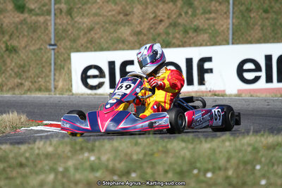 15 & 16/07/2017 : Championnat de France Rotax et Junior, Coupe de France Nationale à Muret (Photos Stéphane Agnus) 2017 — karting