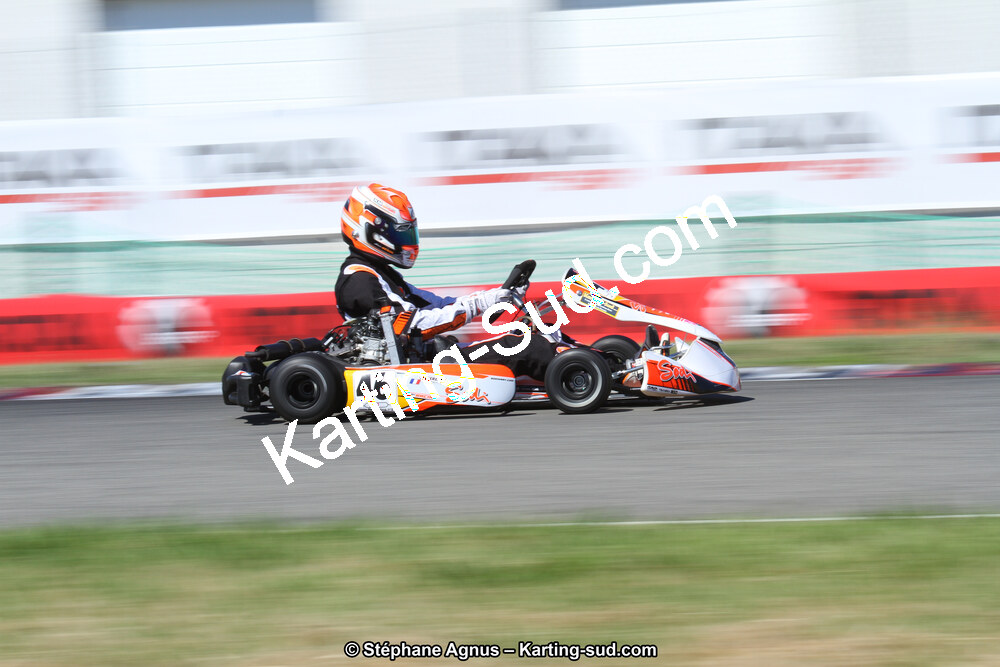 15 & 16/07/2017 : Championnat de France Rotax et Junior, Coupe de France Nationale à Muret (Photos Stéphane Agnus) 2017 — karting