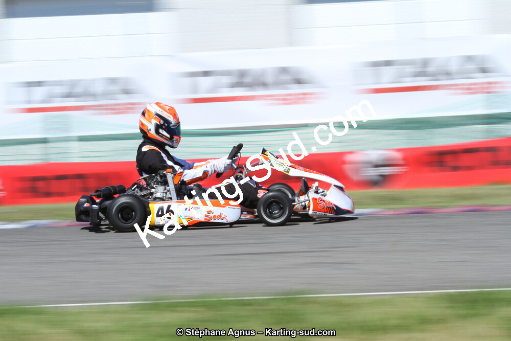 15 & 16/07/2017 : Championnat de France Rotax et Junior, Coupe de France Nationale à Muret (Photos Stéphane Agnus) 2017 — karting